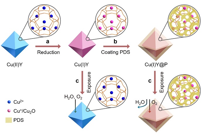 1594084472717017610.jpg 微信圖片_20200707090932.jpg