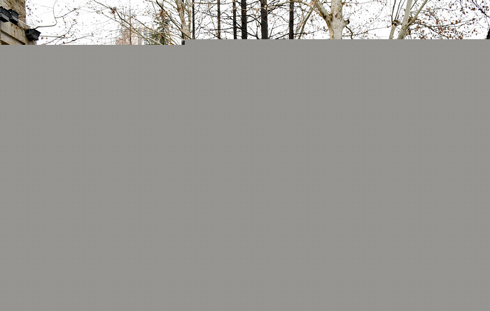 nEO_IMG_QCD_0203.jpg