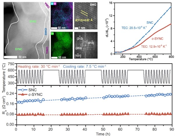 復合電極材料c-SYNC的性質和形成機理 (2).jpg