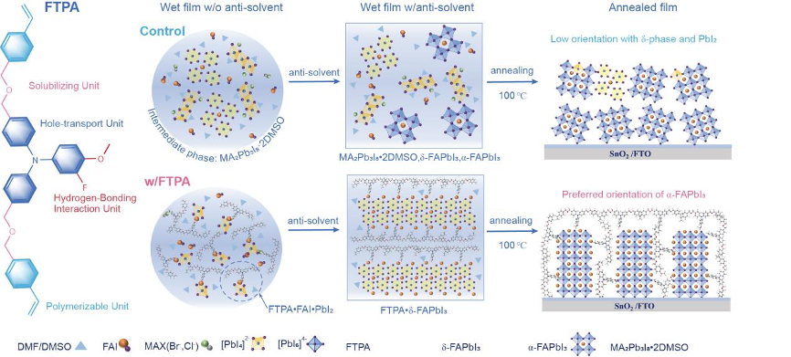 新型多功能氟取代添加劑設計及鈣鈦礦薄膜結晶機制分析