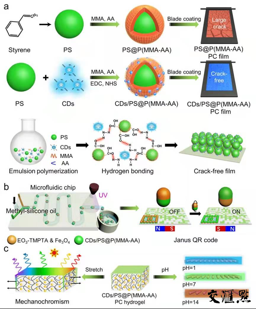 碳點功能化的光子晶體在信息存儲和傳感領域應用的示意圖
