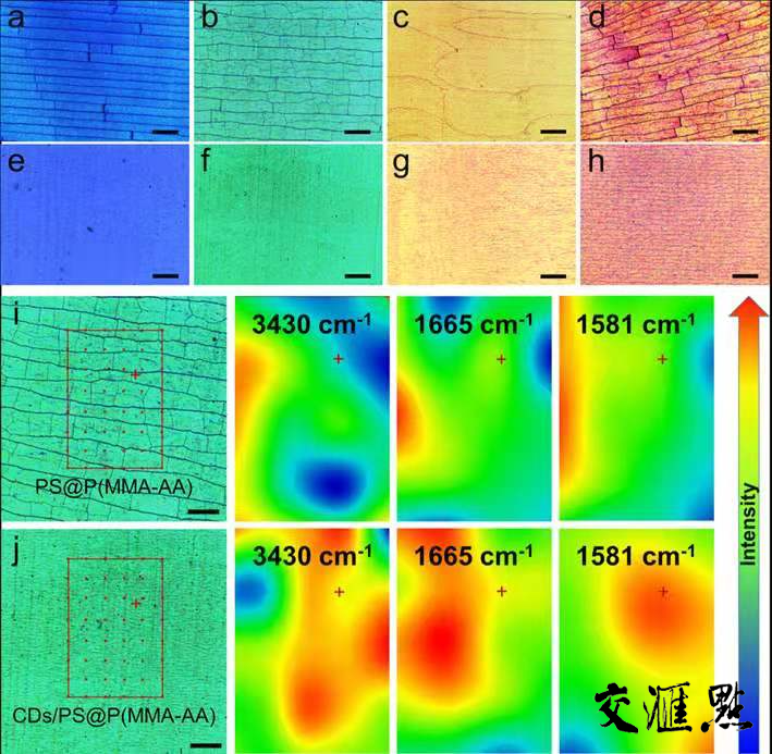 CDs/PS@P(MMA-AA)不開裂光子晶體膜